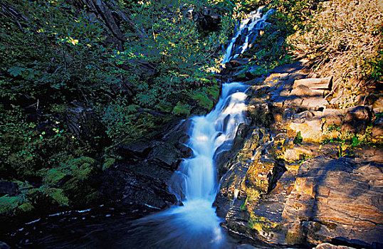 狭窄,瀑布,树林,不列颠哥伦比亚省,加拿大