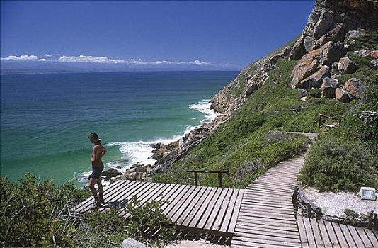 女人,游客,厚木板,风景,海上,自然保护区,靠近,湾,花园大道,南非