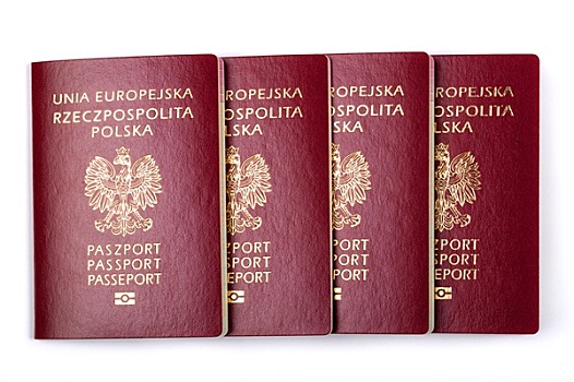 护照,白色背景