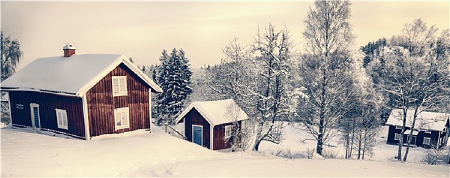 老,乡村,屋舍,雪,冬季