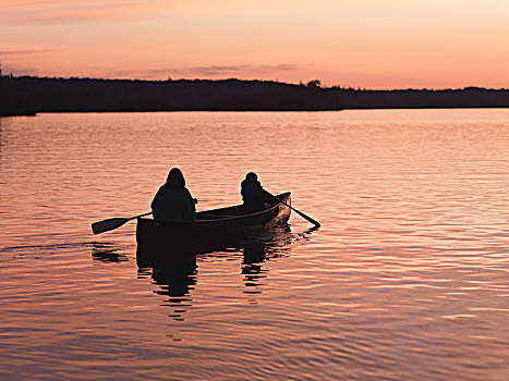 划船,湖,日落,木,安大略省,加拿大