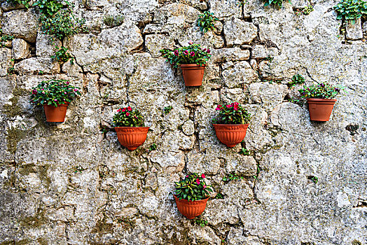 特写,赤陶,花盆,石墙,植物