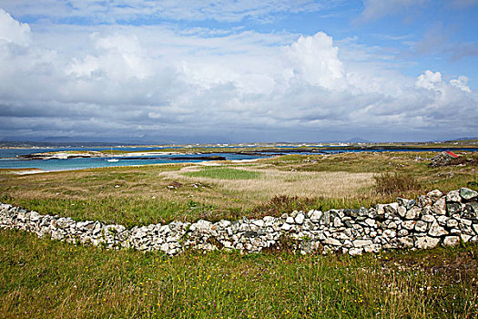 石墙,草,土地,海岸,湾,靠近,戈尔韦郡,爱尔兰