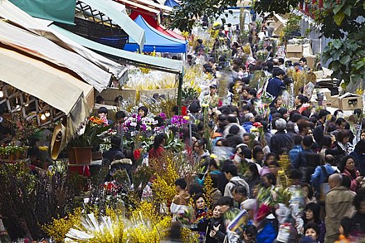 人群,花,市场,春节,九龙,香港,中国