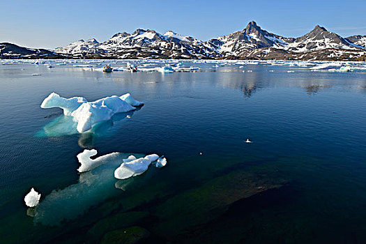 冰山,奥斯卡,靠近,安马沙利克岛,东方,格陵兰,北美