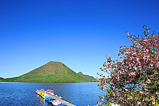 湖,樱桃树,群马县