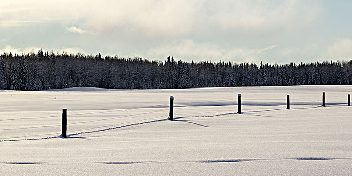 栅栏,积雪,风景,不列颠哥伦比亚省,公路,加拿大
