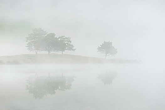 反射,树,海岬,水,小,雾状,高山,湖,挨着,米滕瓦尔德