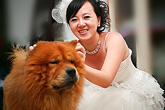 身着婚纱的年轻女子和一只松狮犬在一起