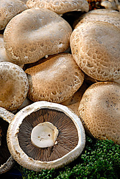 蘑菇,博罗市场,南华克