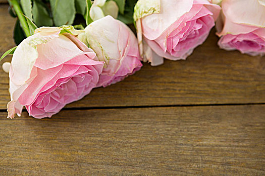 粉色,玫瑰,放置,厚木板,特写