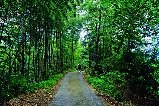 采风云台山1