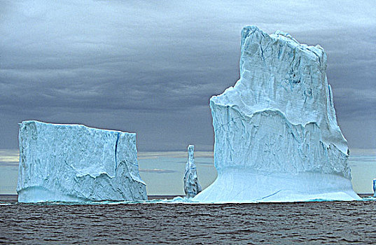 冰山,生态,纽芬兰,加拿大