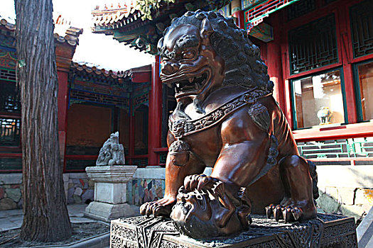 铜狮子,故宫,中国,北京,全景,地标,传统