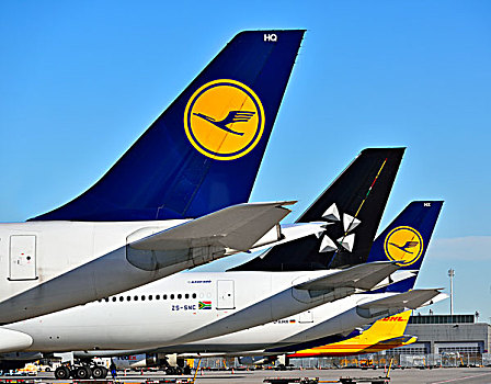 汉莎航空公司,星,协作,排列,慕尼黑,机场,上巴伐利亚,巴伐利亚,德国,欧洲