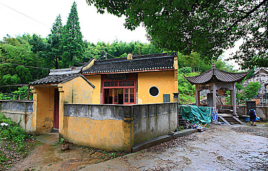 鄞州,横溪镇,吴徐古村,山村,古树,老房子