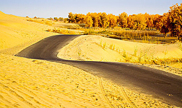 沙漠公路