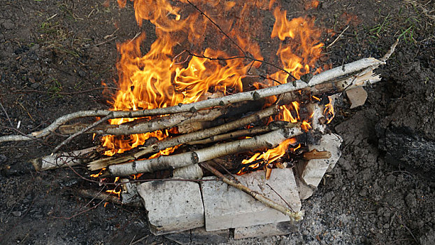 燃烧,火,烧烤,木头