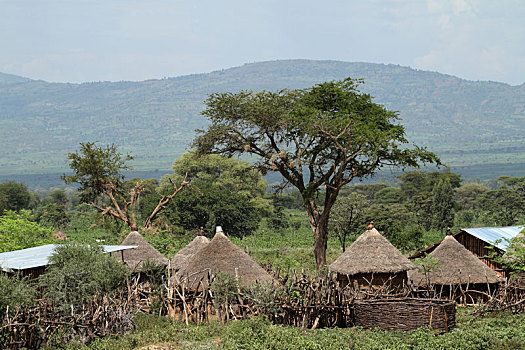 传统,稻草,小屋,奥莫山谷,埃塞俄比亚