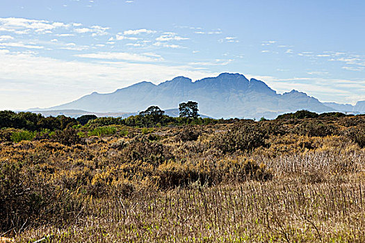 南非,靠近,斯坦陵布什,山脉,远景