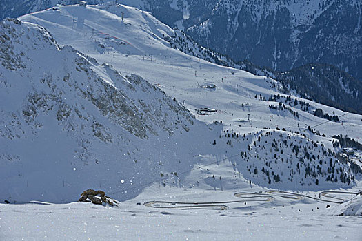 自然,冬季风景,树,初雪