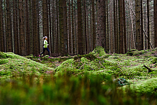 女人,慢跑,树林