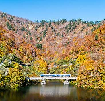 秋天,福岛,日本