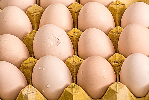 鸡蛋蛋黄特写