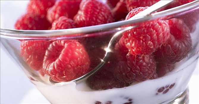 冰冻,树莓,酸奶