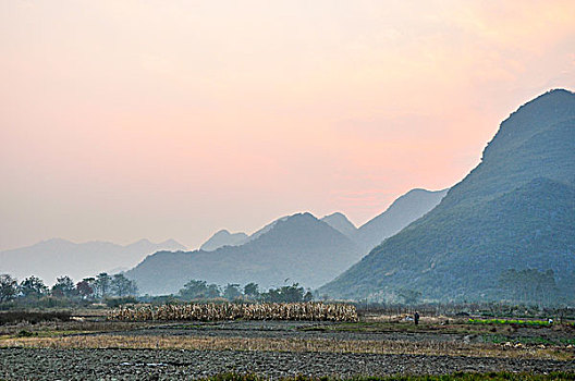 桂林田园风光