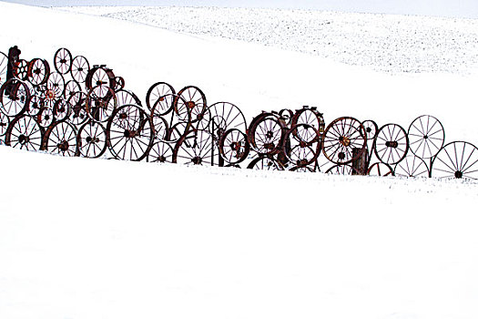 美国,华盛顿,栅栏,老,铁,轮子,雪