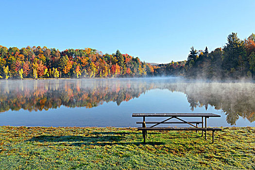 湖,雾,秋叶,山,反射,新英格兰