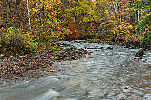 溪流,峡谷,秋天,国家公园,俄亥俄,美国
