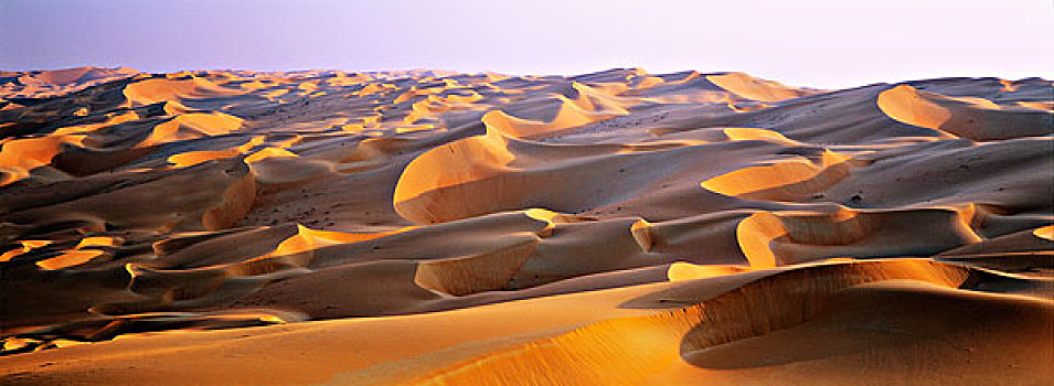 沙丘,擦,阿联酋