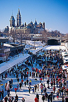 滑冰,里多运河,国会大厦,背景,渥太华,安大略省,加拿大