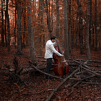男人,演奏,低音乐器,红色,木头,中间,秋天,树干,布鲁塞尔,比利时