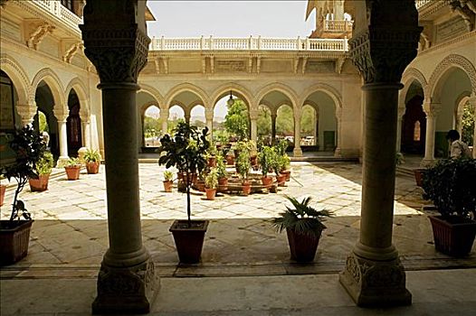 盆栽,院落,博物馆,斋浦尔,拉贾斯坦邦,印度