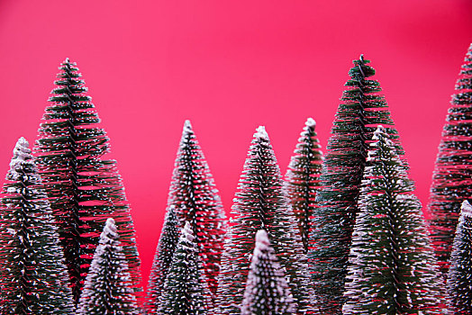 红色背景中的圣诞树雪松模型