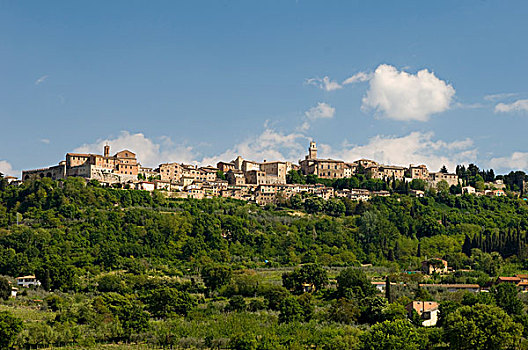 蒙蒂普尔查诺红葡萄酒,锡耶纳省,托斯卡纳,意大利