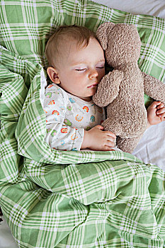 俯视,男婴,睡觉,床,拿着,泰迪熊