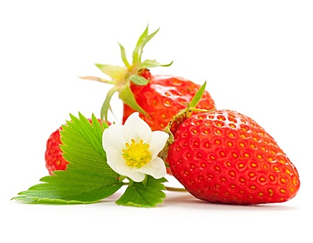 草莓,白花,绿叶