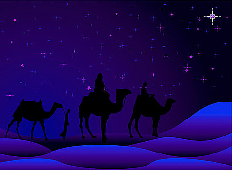 传统,圣诞节,场景,骆驼,星空