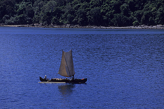 马达加斯加,舷外支架,航行,独木舟