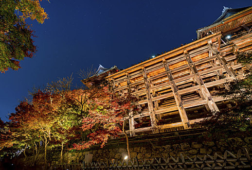 仰视,枫树,清水寺