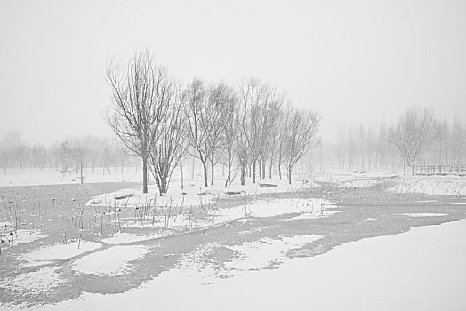 雪景