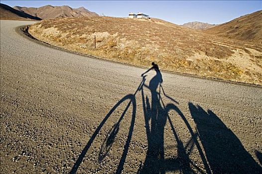 影子,骑自行车,拖,小,拖车,德纳里峰,公园,道路,德纳里峰国家公园,阿拉斯加