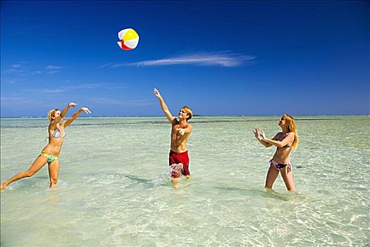 夏威夷,瓦胡岛,卡内奥赫,年轻人,玩,水皮球,水晶,清水,沙洲,岛屿