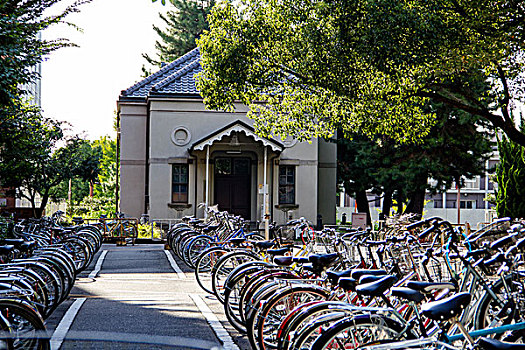 日本的大学