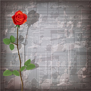 抽象,低劣,音乐,背景,红玫瑰