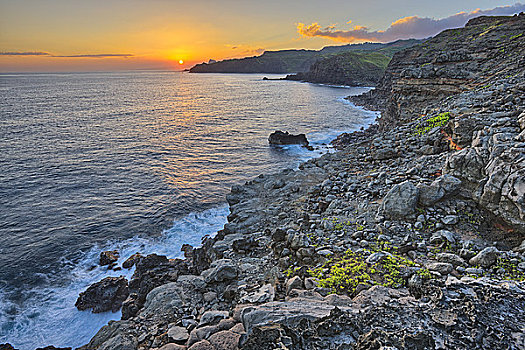 火山岩,海岸,湾,毛伊岛,夏威夷,美国